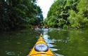 kayaking-adventure-kamchia (19)