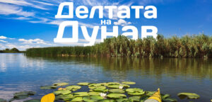 Каякинг по делтата на Дунав